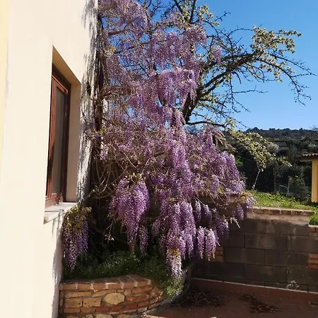 Casa Di Luca - Narni - Umbria *