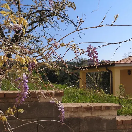 Casa Di Luca - Narni - Umbria Apartment Schifanoia (Terni)